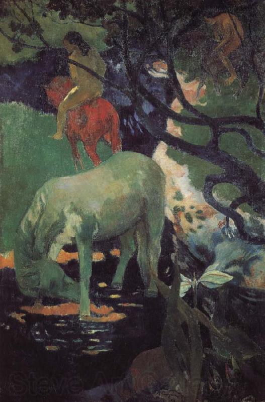 Paul Gauguin Whitehorse Spain oil painting art